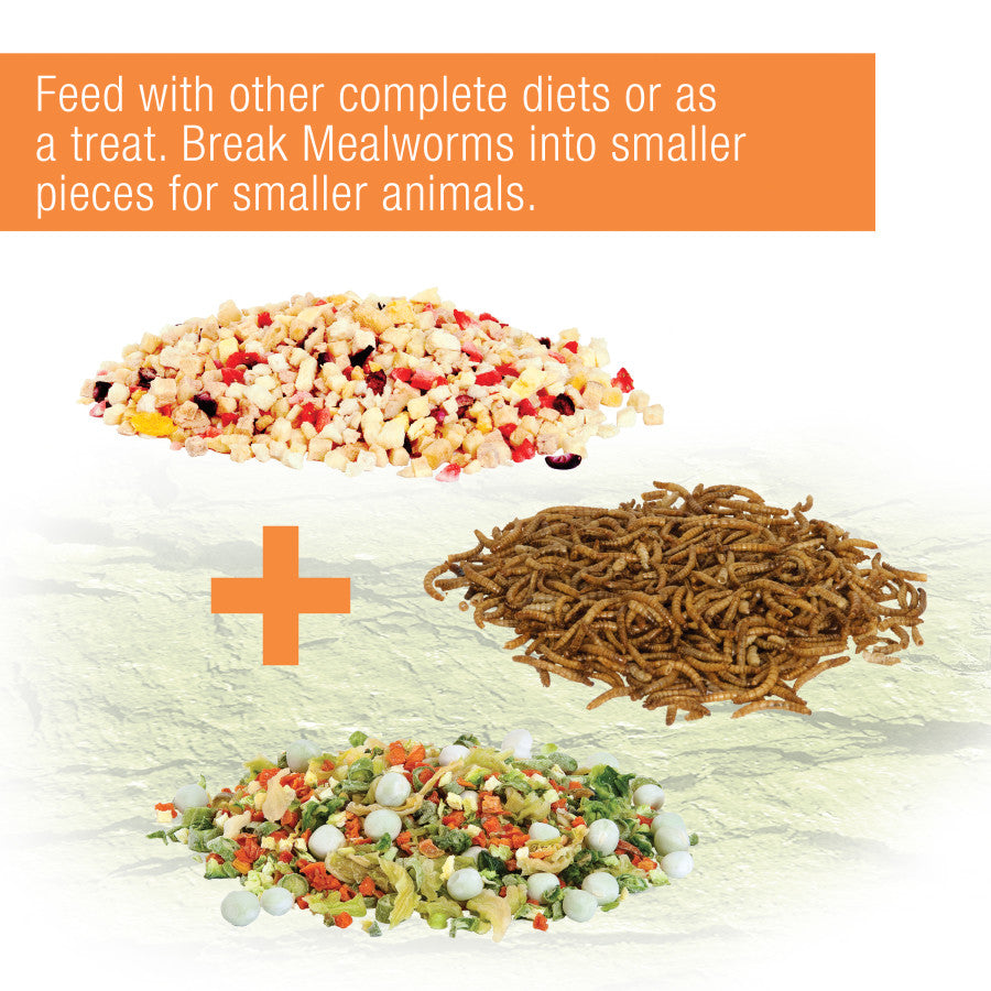 Zilla Munchies Mealworms Reptile Food Trial Size.5oz