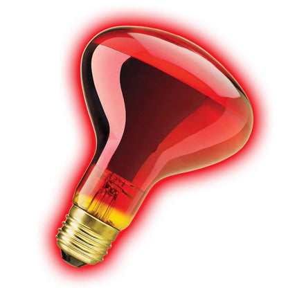 Zilla Night Red Incandescent Spot Bulb 100W