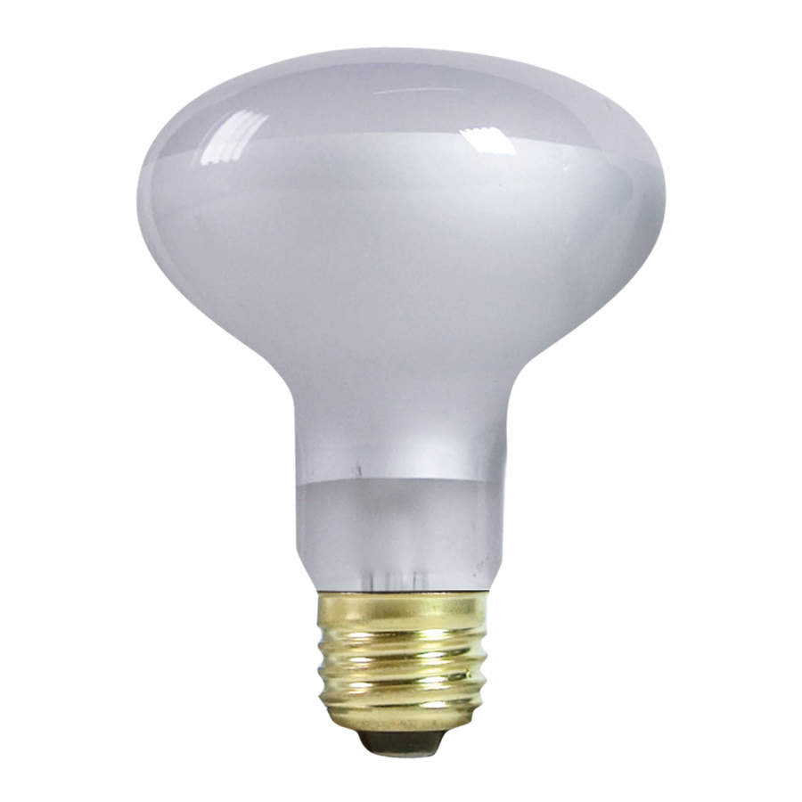 Zilla Incandescent Day White Light Spot Bulb 100W