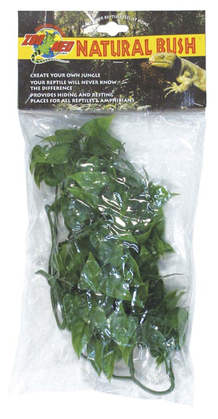 Zoo Med Natural Bush Plants Mexican Phyllo Small