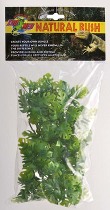 Zoo Med Natural Bush Plants Amazonian Phyllo Small