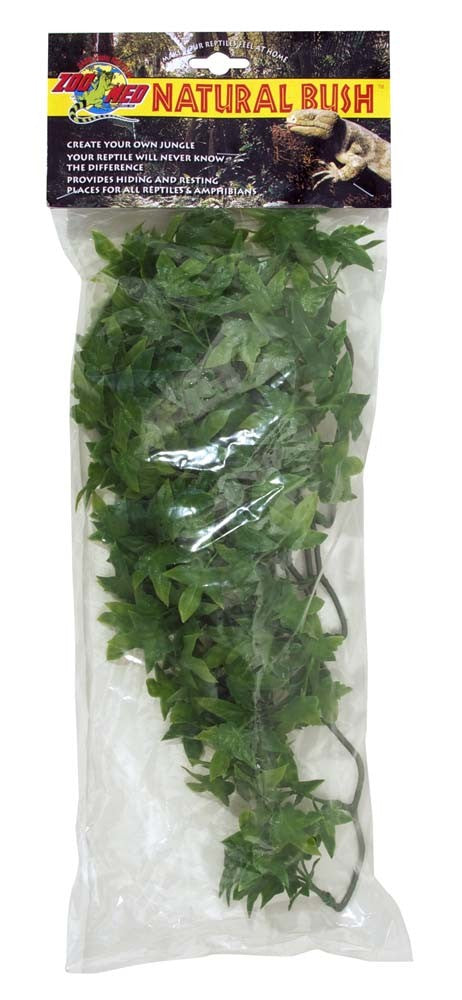 Zoo Med Natural Bush Plants Congo Ivy Medium