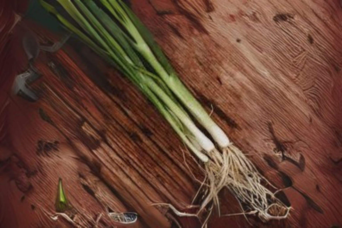 250 Seeds Tokyo Long Bunching Onion Allium fistulosum Non-Bulbing Green Onion for Salads & Stir-Fries