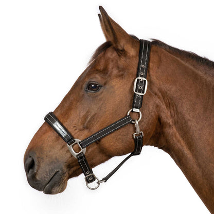 TuffRider SafeReset Breakaway Halter
