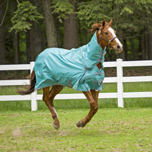 TuffRider 1200 D Comfy Detachable Neck Ripstop Turnout Sheet
