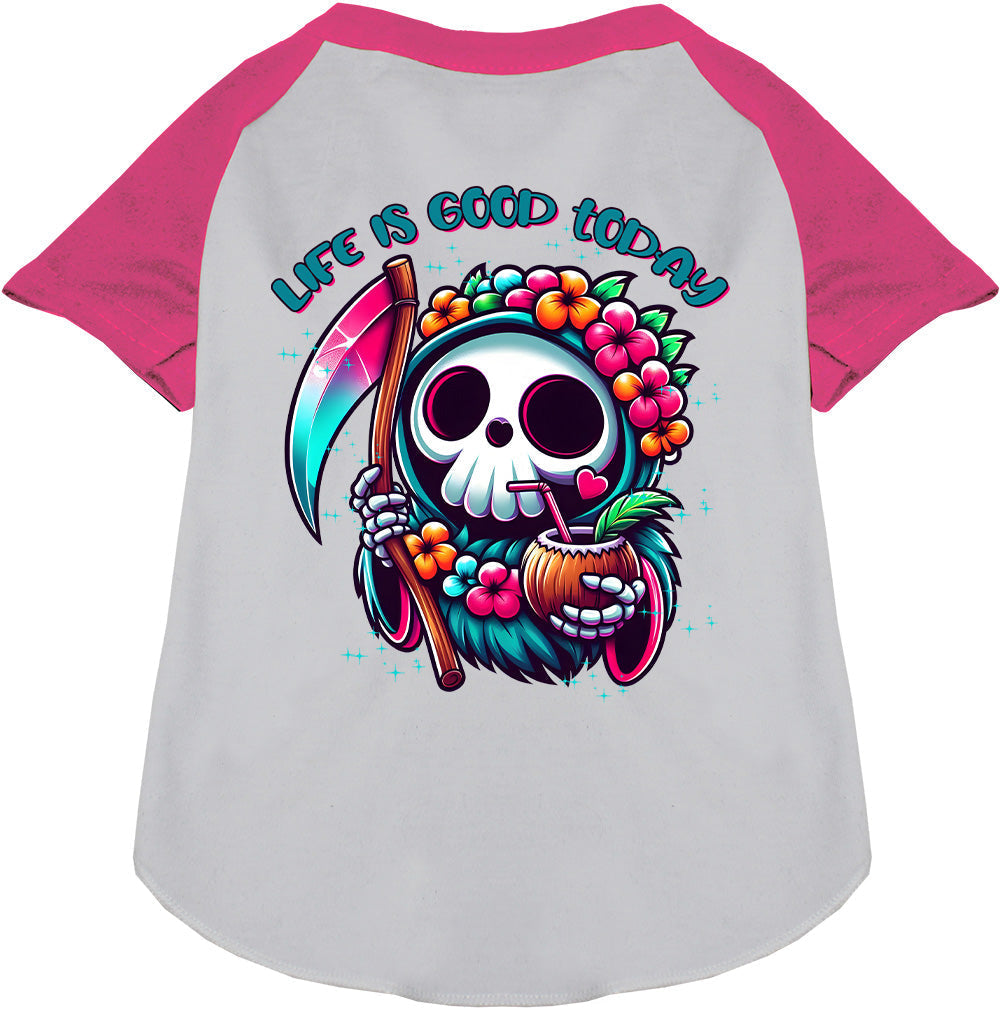 Tropical Grim Reaper Pet Raglan Shirt