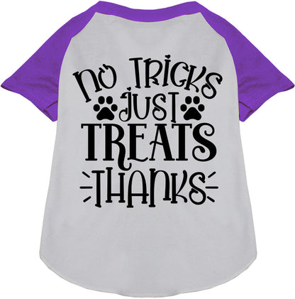 No Tricks, Just Treats Pet Raglan Shirt