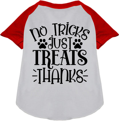 No Tricks, Just Treats Pet Raglan Shirt
