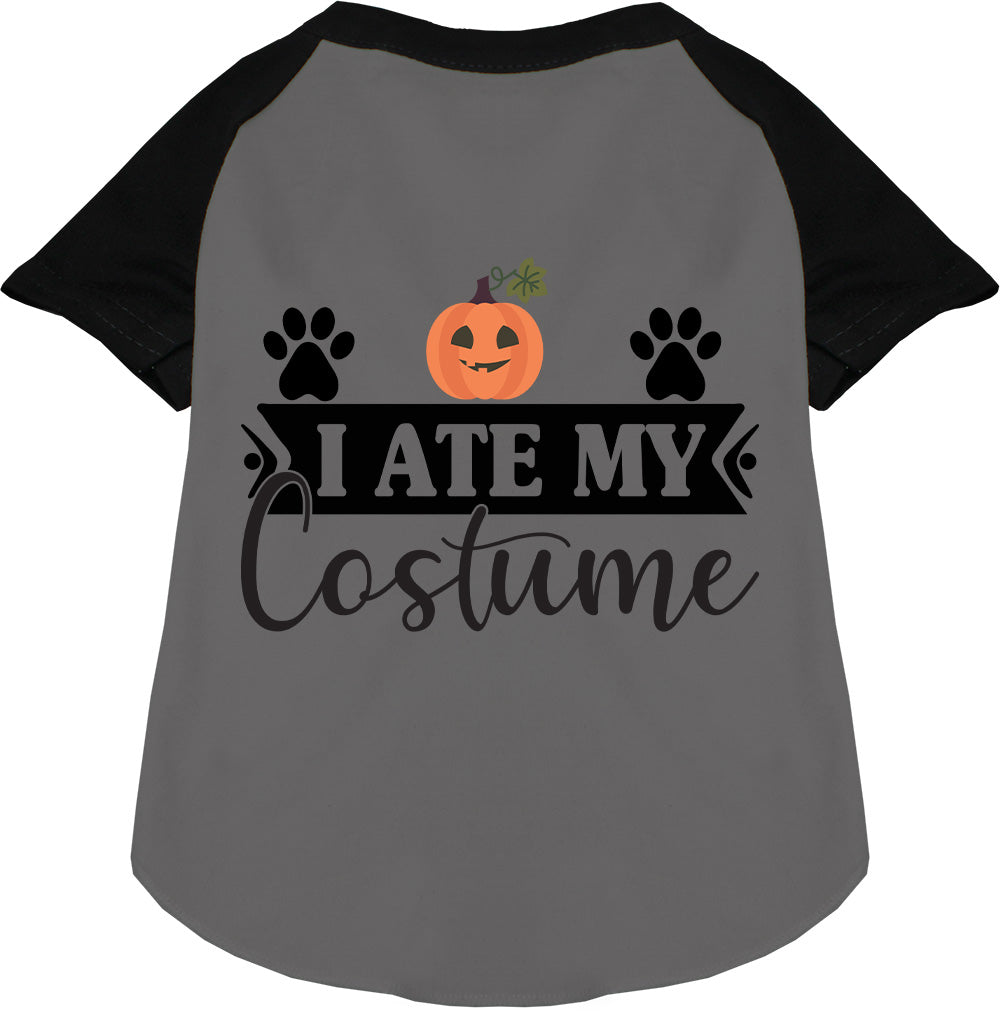 I Ate My Costume Pet Raglan Shirt