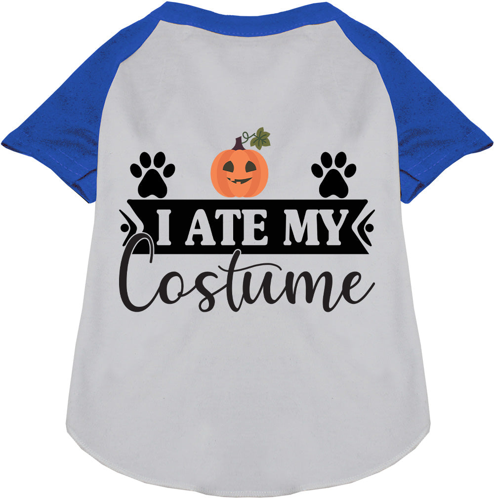 I Ate My Costume Pet Raglan Shirt