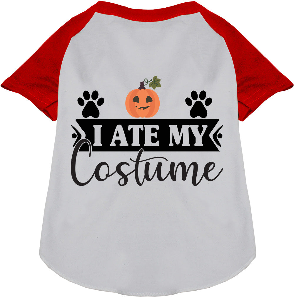 I Ate My Costume Pet Raglan Shirt