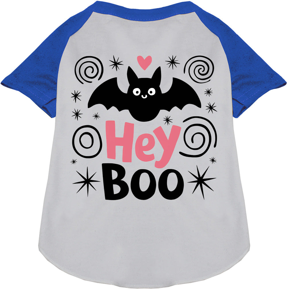 Hey Boo! Pet Raglan Shirt