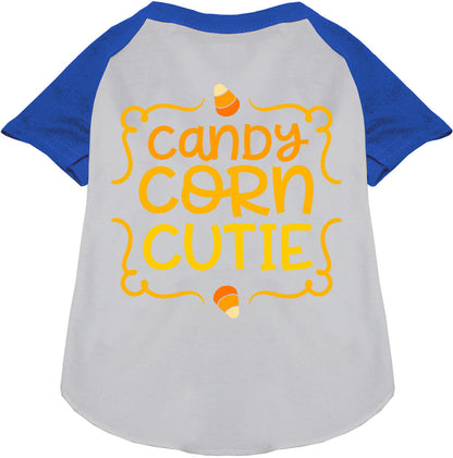 Candy Corn Cutie Pet Raglan Shirt