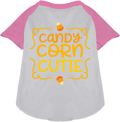 Candy Corn Cutie Pet Raglan Shirt