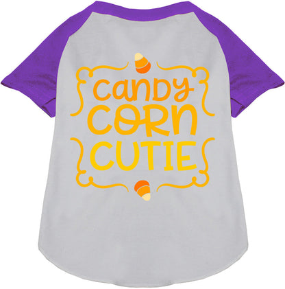 Candy Corn Cutie Pet Raglan Shirt