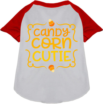 Candy Corn Cutie Pet Raglan Shirt