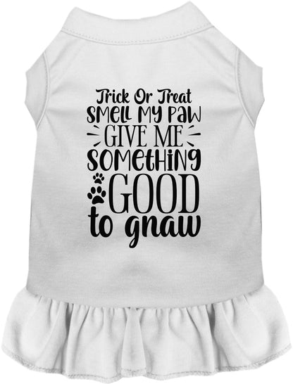 Good to Gnaw Halloween Pet Dress
