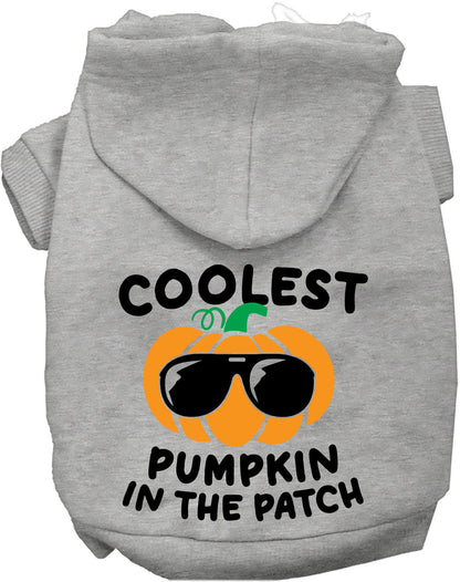 Coolest Pumpkin Halloween Pet Hoodie
