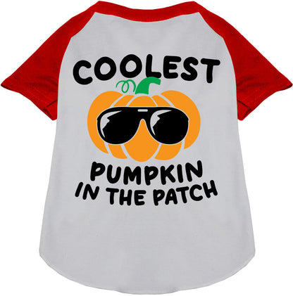 Coolest Pumpkin Pet Raglan Shirt
