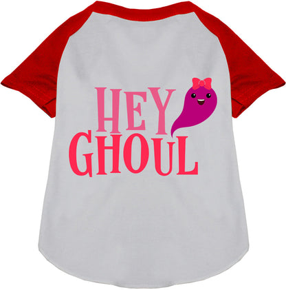 Hey Ghoul Pet Raglan Shirt