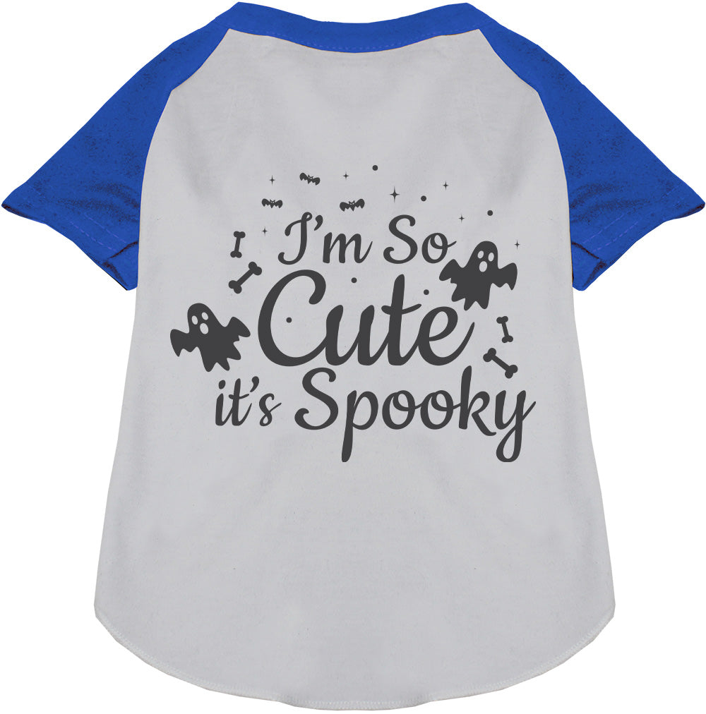 So Cute, It's Spooky Pet Raglan Shirt