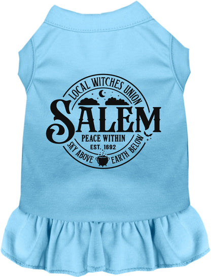 Salem Witches Union Pet Dress