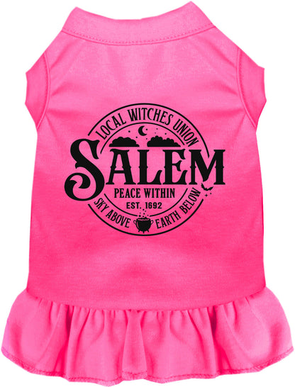 Salem Witches Union Pet Dress