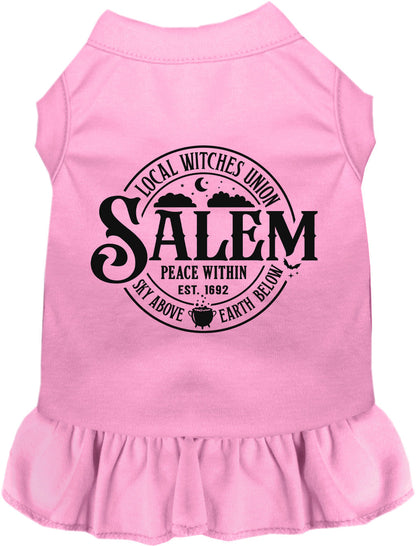 Salem Witches Union Pet Dress