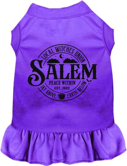 Salem Witches Union Pet Dress