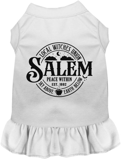 Salem Witches Union Pet Dress