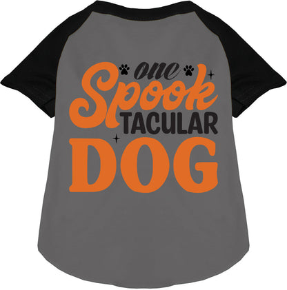 One Spooktacular Dog Pet Raglan Shirt