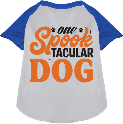 One Spooktacular Dog Pet Raglan Shirt