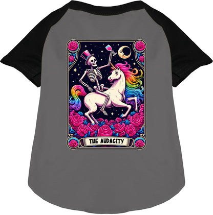 The Audacity! Pet Raglan Shirt