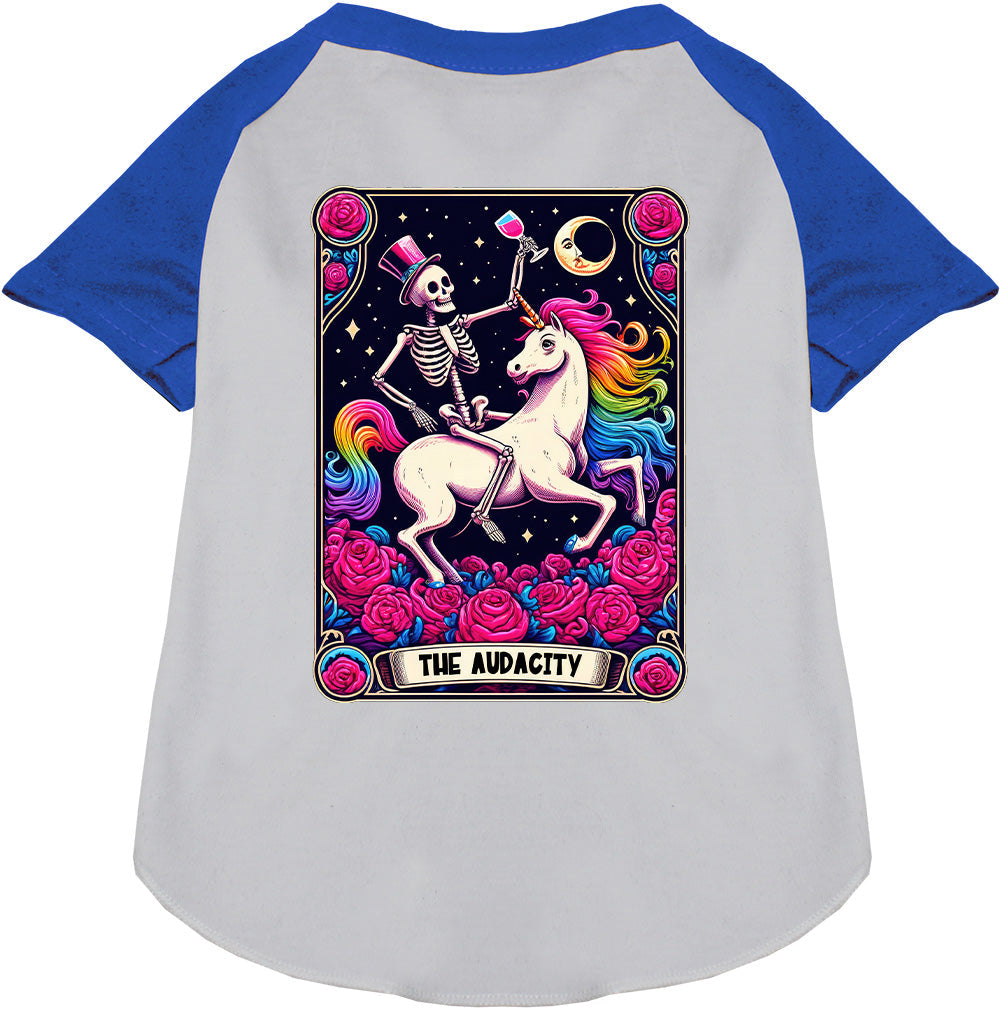 The Audacity! Pet Raglan Shirt