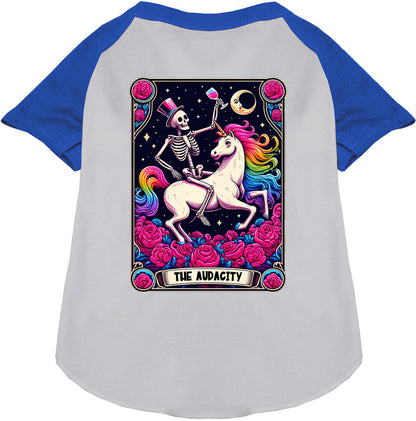 The Audacity! Pet Raglan Shirt