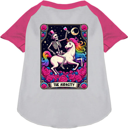 The Audacity! Pet Raglan Shirt