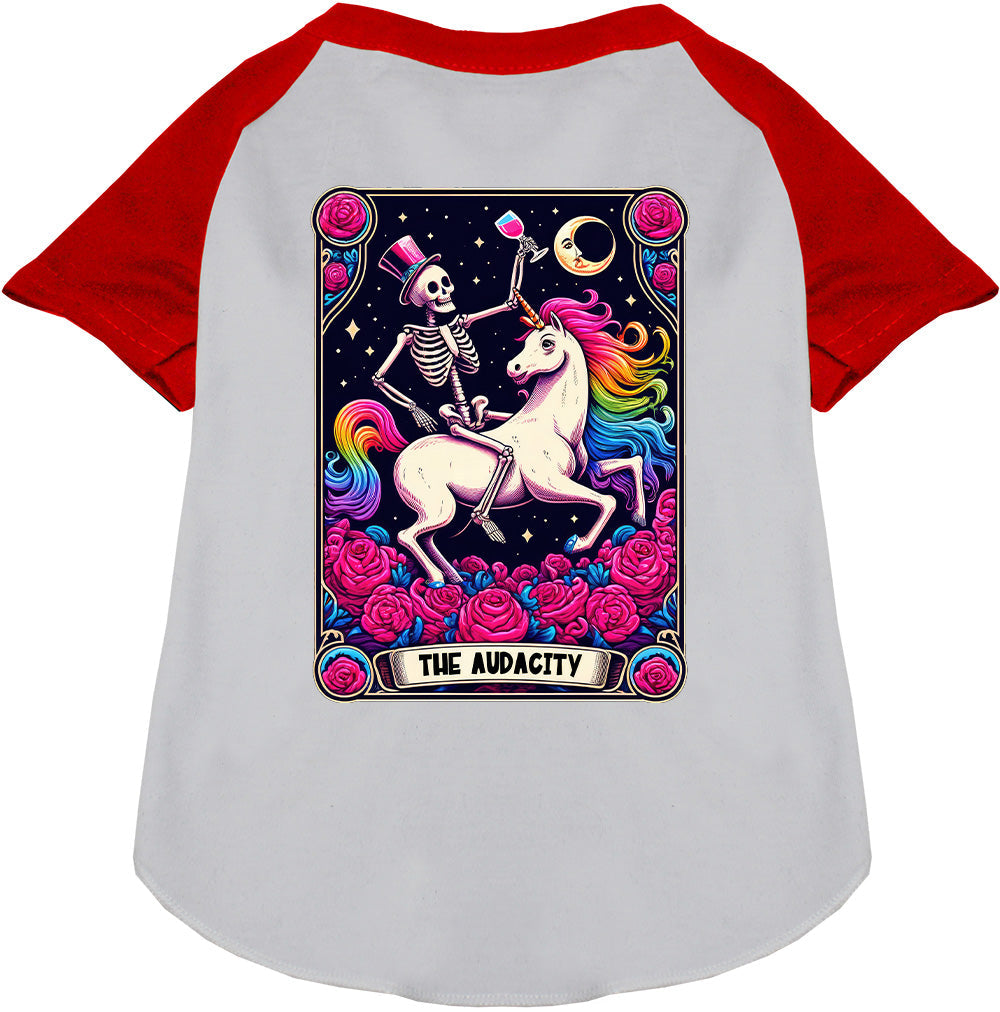 The Audacity! Pet Raglan Shirt