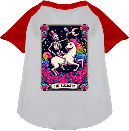 The Audacity! Pet Raglan Shirt