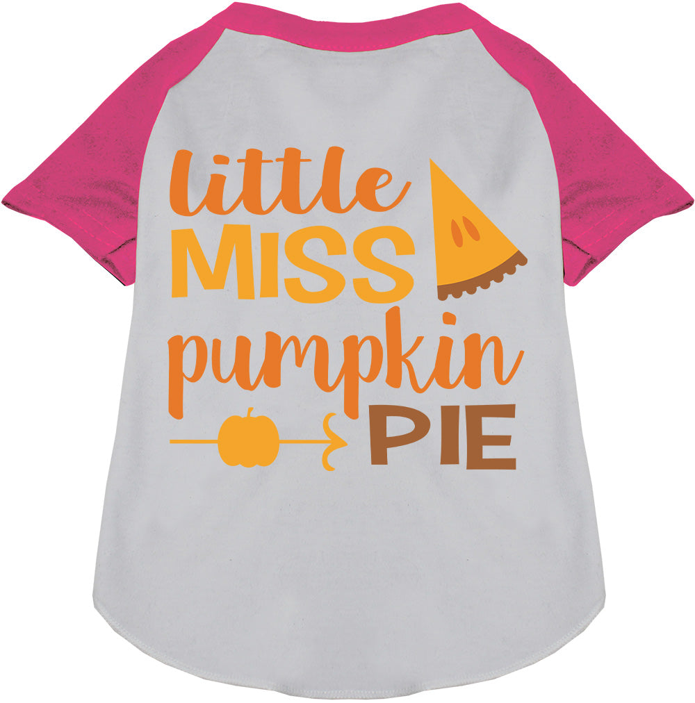 Little Miss Pumpkin Pie Pet Raglan Shirt
