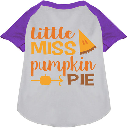 Little Miss Pumpkin Pie Pet Raglan Shirt