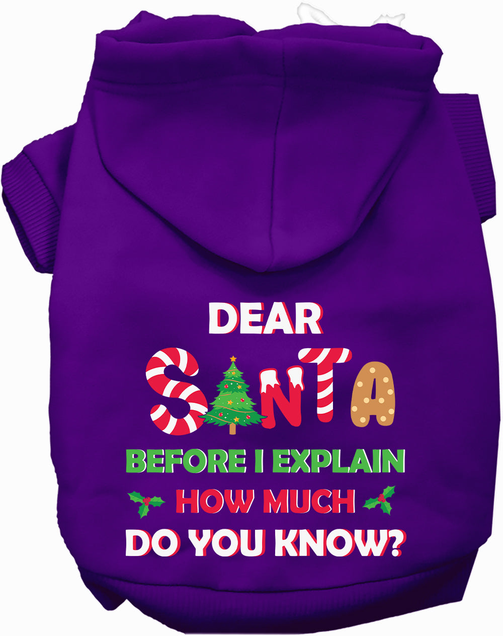 Santa, How Much Do You Know? Christmas Pet Hoodie
