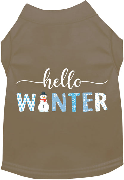 Hello Winter Pet Shirt