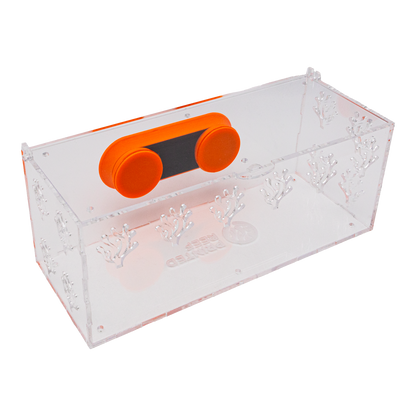 Acrylic Anemone/Fish Acclimation Box