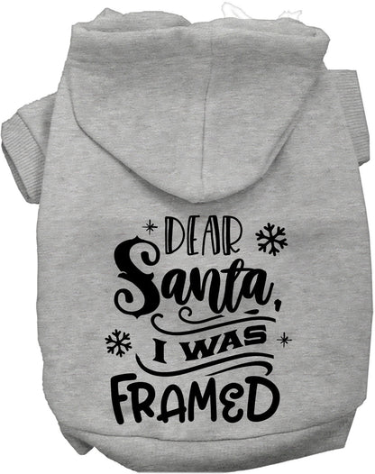 I was Framed Christmas Pet Hoodie