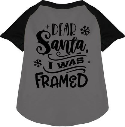 I was Framed! Pet Raglan Shirt
