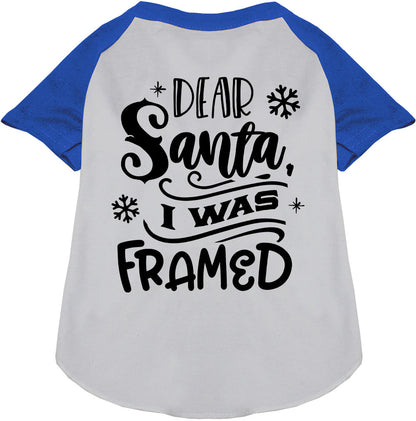 I was Framed! Pet Raglan Shirt