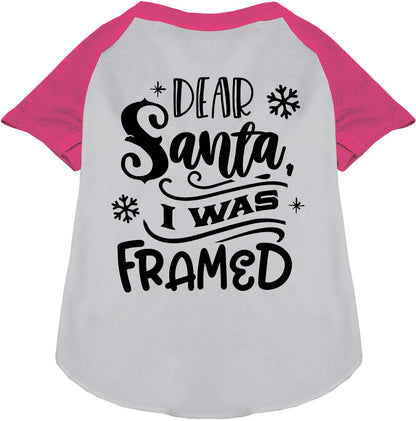 I was Framed! Pet Raglan Shirt