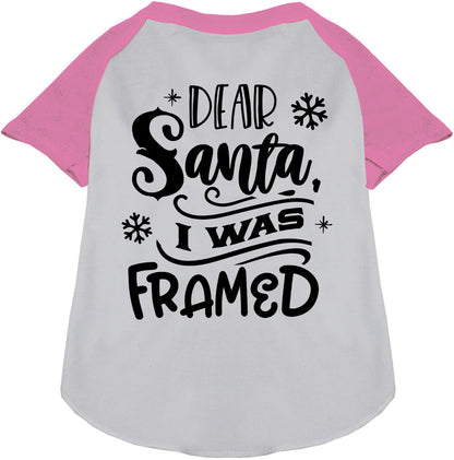 I was Framed! Pet Raglan Shirt