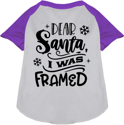 I was Framed! Pet Raglan Shirt