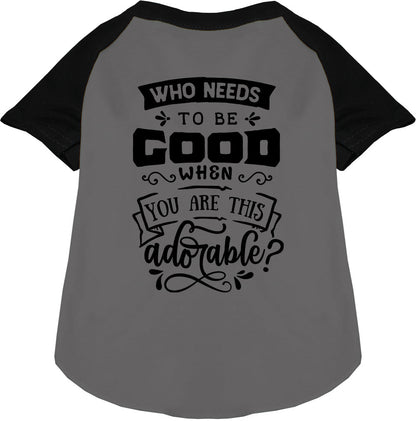 Who Needs to be Good? Pet Raglan Shirt